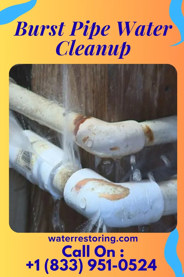 Burst Pipe Water Cleanup in Hayward, MO
