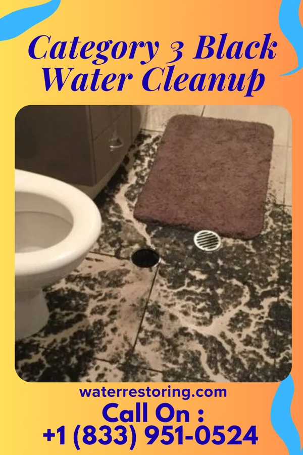 Category 3 Black Water Cleanup in Hayward, MO